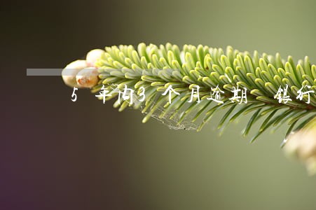 5年内3个月逾期 银行贷款 5年内3个月逾期 银行贷款